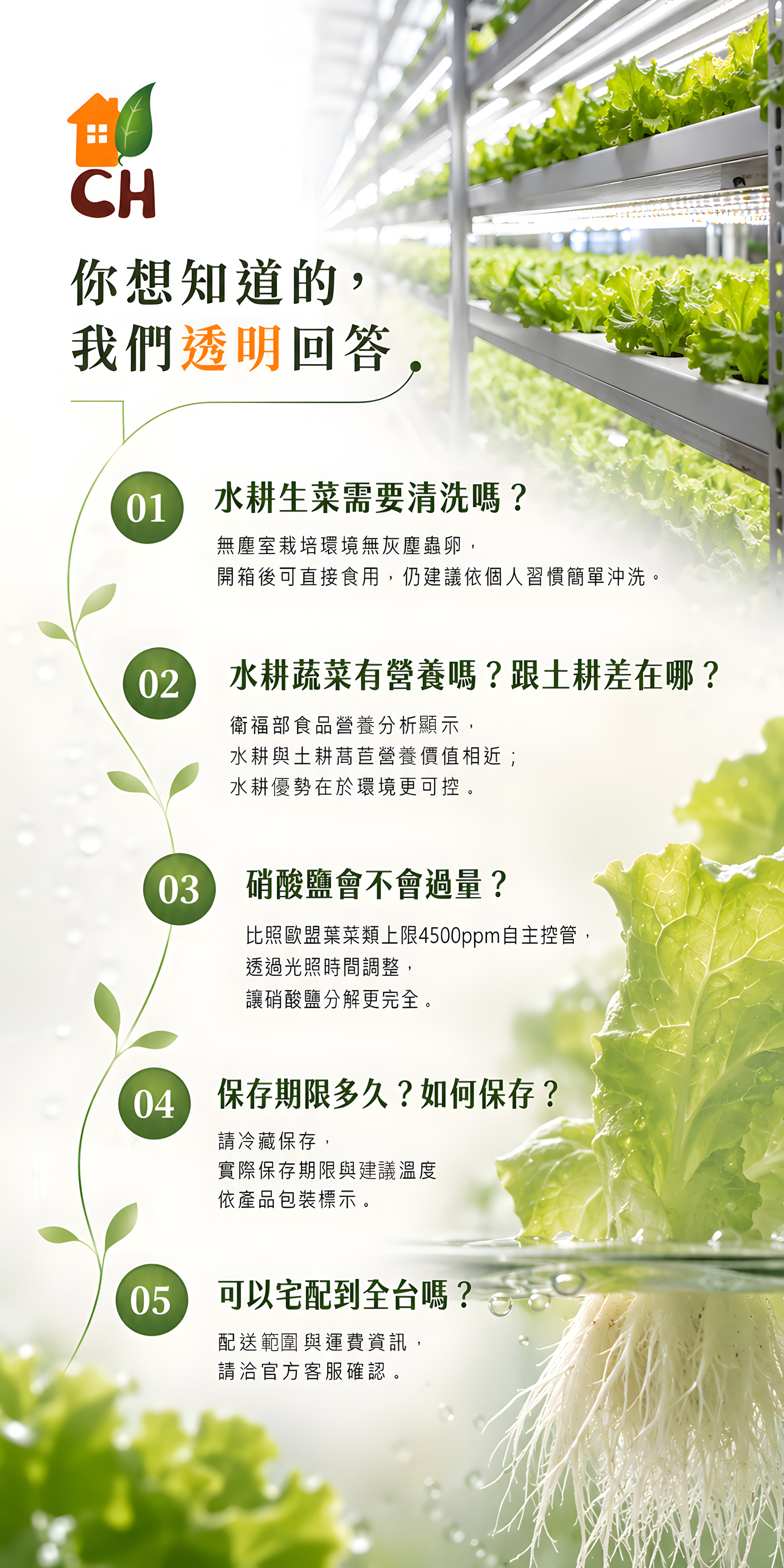 合家歡綜合生菜 6